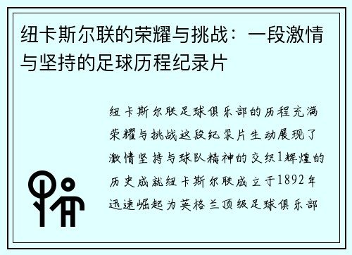 纽卡斯尔联的荣耀与挑战：一段激情与坚持的足球历程纪录片