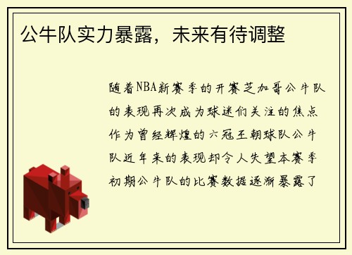 公牛队实力暴露，未来有待调整