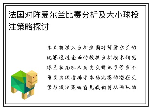 法国对阵爱尔兰比赛分析及大小球投注策略探讨