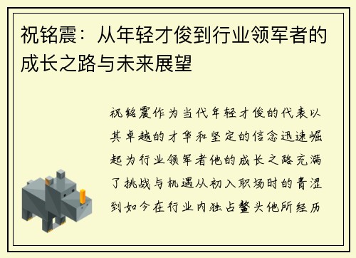 祝铭震：从年轻才俊到行业领军者的成长之路与未来展望