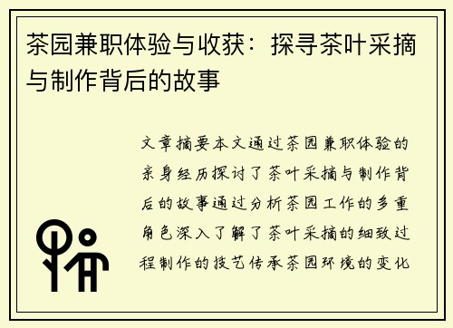 茶园兼职体验与收获：探寻茶叶采摘与制作背后的故事